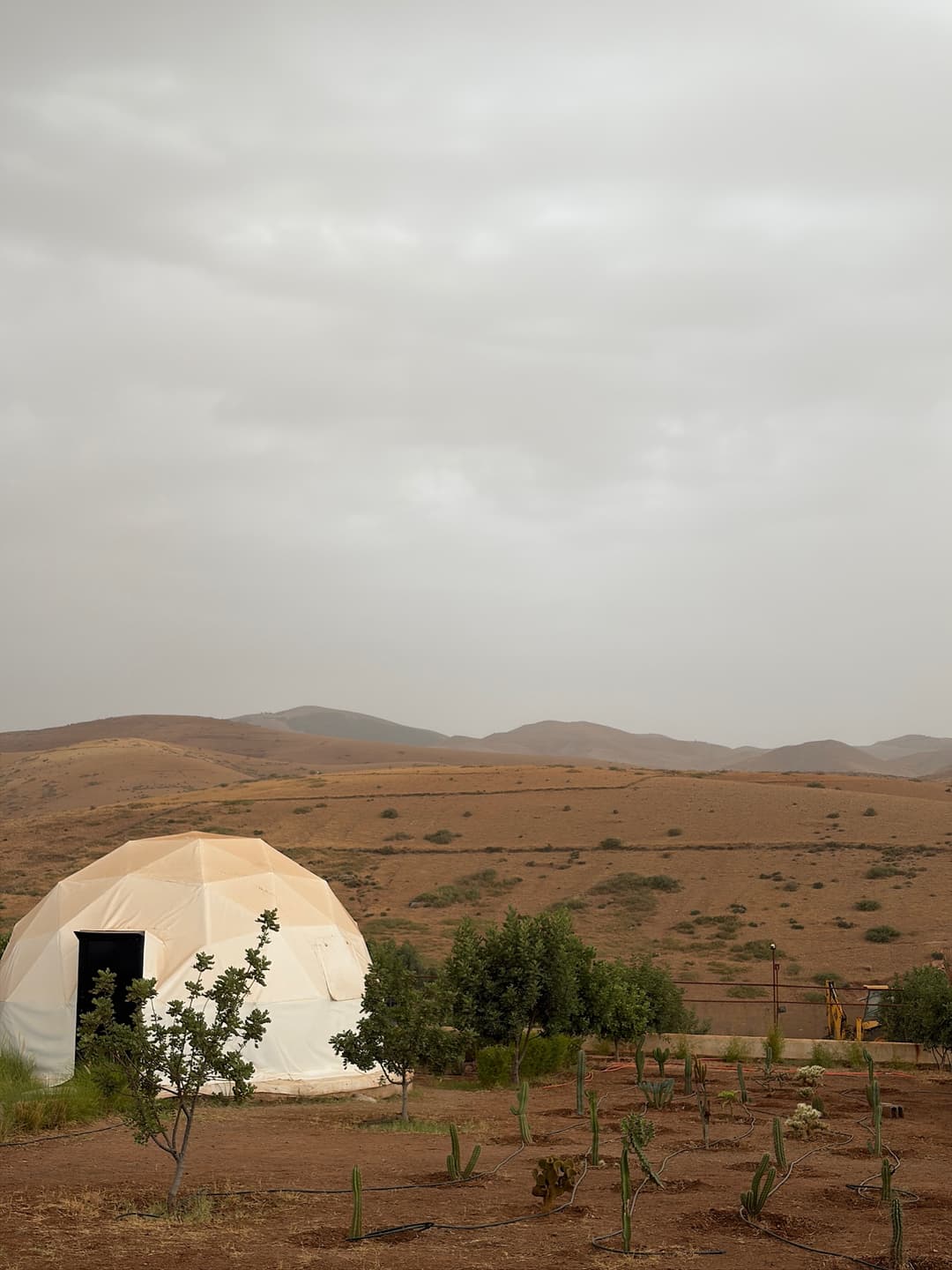 Sight from the house